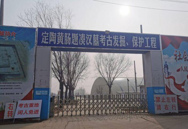 魏冉和芈月是什么关系