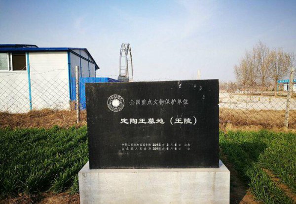 魏冉和芈月是什么关系