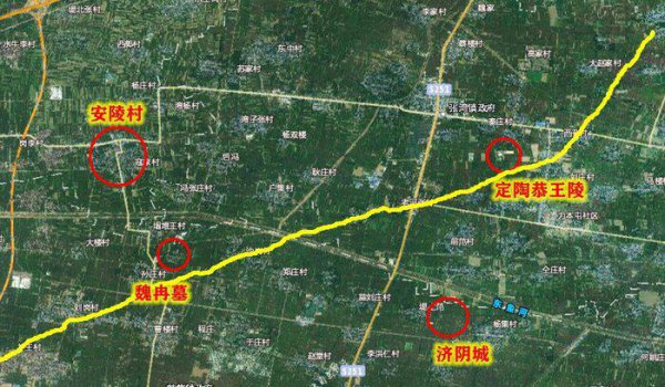 魏冉和芈月是什么关系