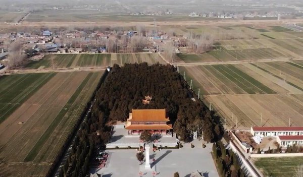 魏冉和芈月是什么关系