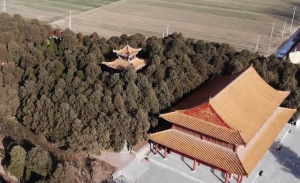 魏冉和芈月是什么关系