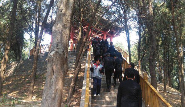 魏冉和芈月是什么关系