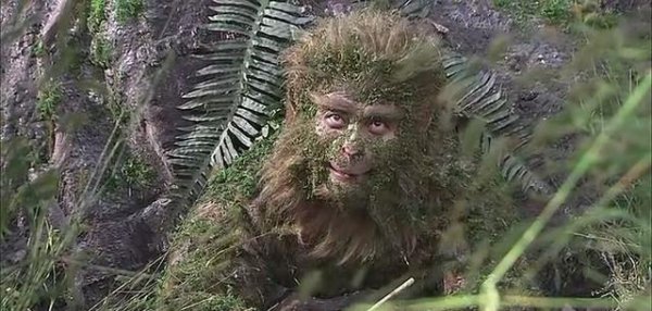 孙悟空的性格特点