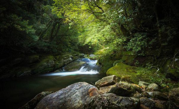 钟鼓馔玉不足贵
