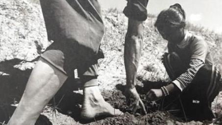 山海情原型是哪里