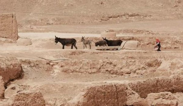 山海情原型是哪里