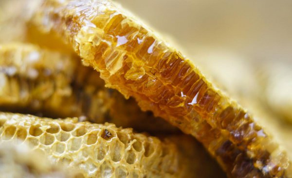 真蜂蜜和假蜂蜜的区别是什么