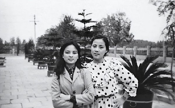 红楼梦里谁最漂亮