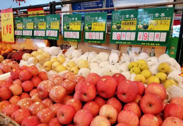 今年富士苹果价格怎么样