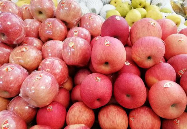 今年富士苹果价格怎么样