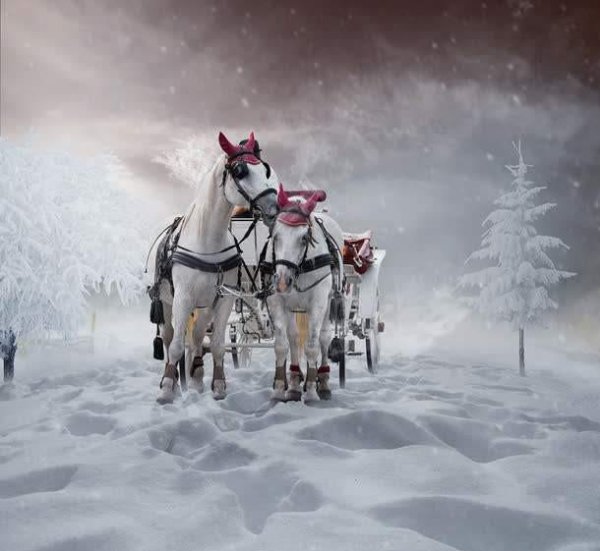 在古代屠苏是什么意思