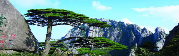 中国四大名山是哪四山