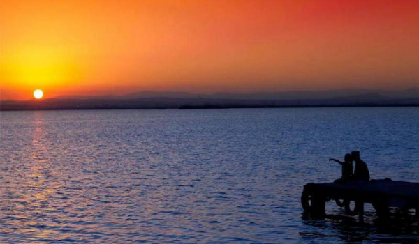 动心和动情的区别是什么