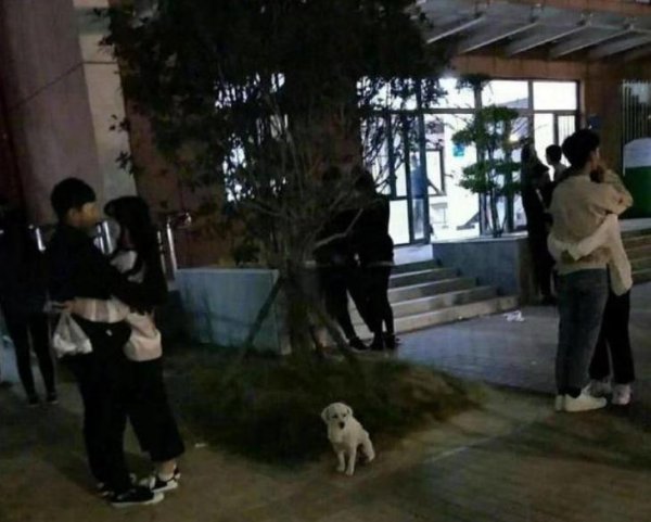 一整个蚌埠住了什么梗