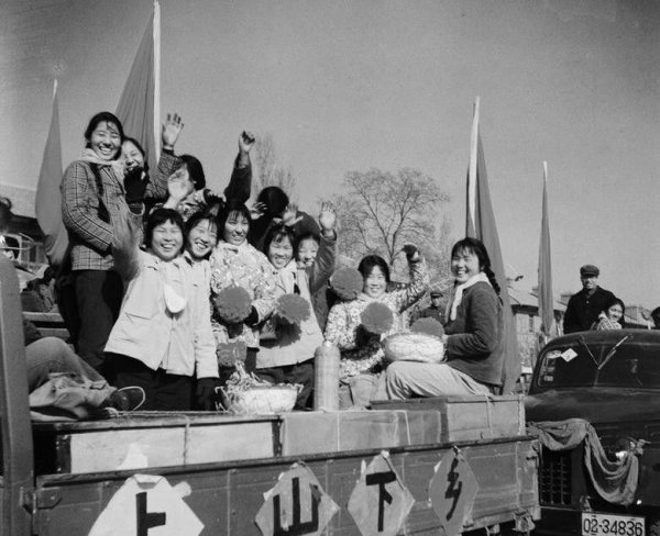 知识青年上山下乡的原因