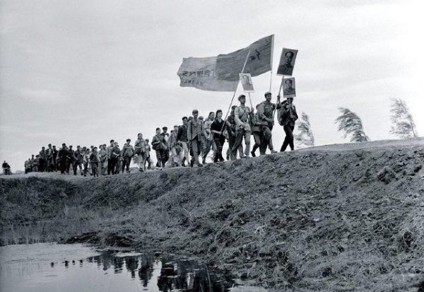 知识青年上山下乡的原因