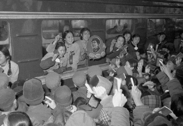 知识青年上山下乡的原因