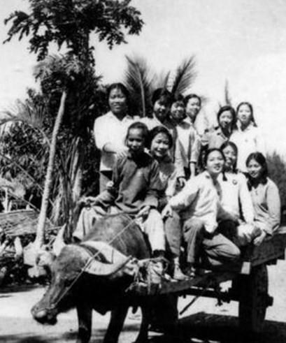 知识青年上山下乡的原因