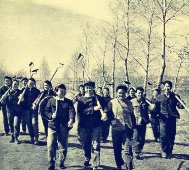 知识青年上山下乡的原因