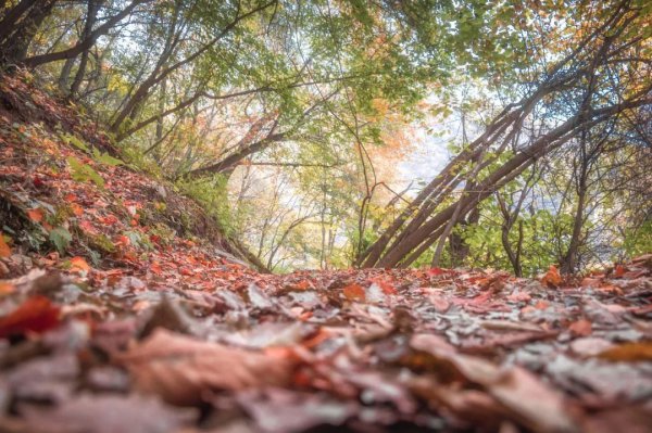 中国南北分界线在哪里