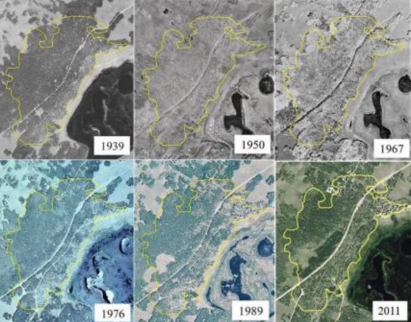 地球有史以来最大的生物