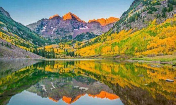 地球有史以来最大的生物