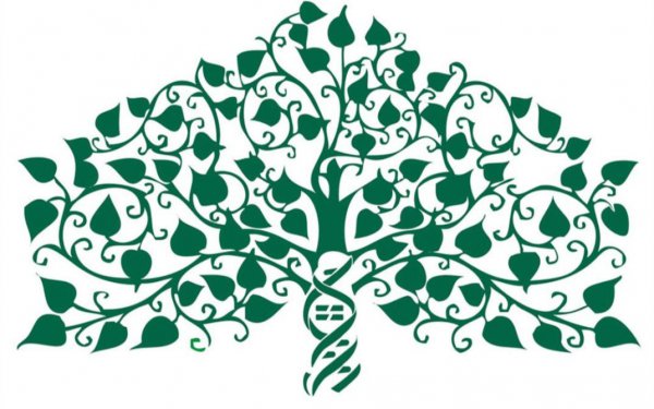 地球有史以来最大的生物