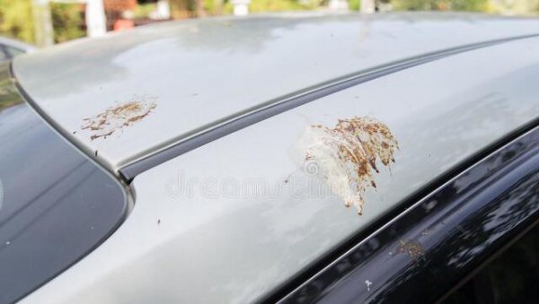 买车买白色好看还是黑色好看