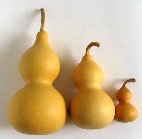 葫芦挂在进门的左边还是右边