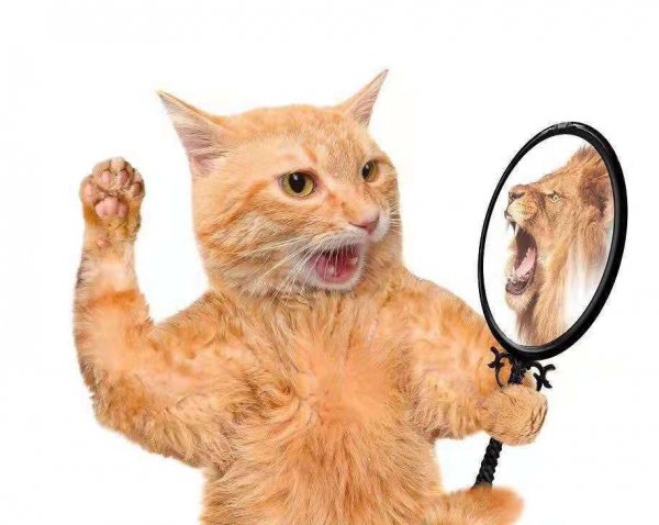 很清晰的梦预示着什么