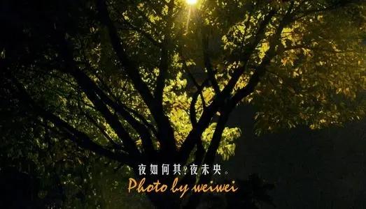 解释未央一词是什么意思