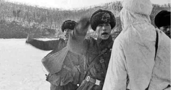 珍宝岛战役是哪一年开始的