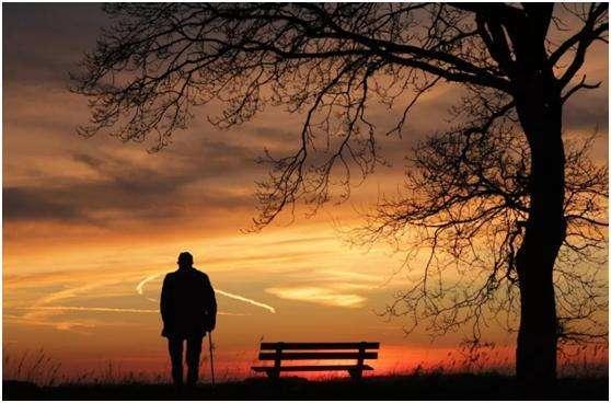 古人说寿则多辱的意思