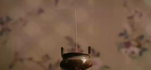 清朝妃子需要陪葬惯例吗