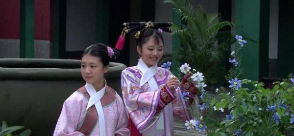 甄嬛传淳儿为什么进宫