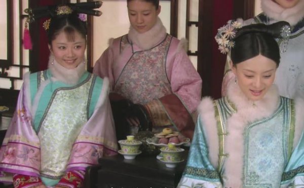 甄嬛传淳儿为什么进宫