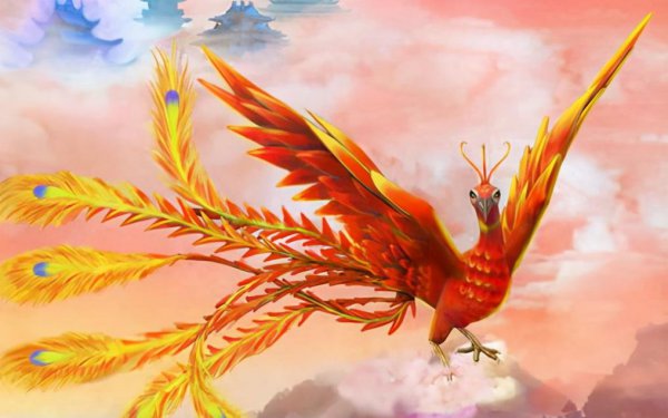 中国的历史有多久