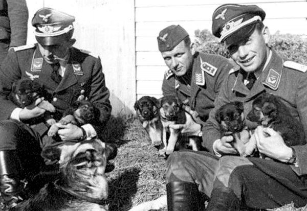 曼弗雷德·隆美尔一生简介