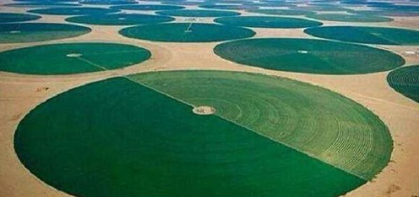 我国最大的沙漠叫什么名字