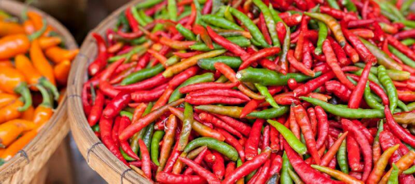 世界最辣的辣椒排名第一