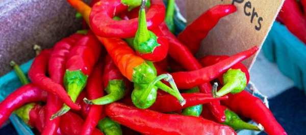 世界最辣的辣椒排名第一