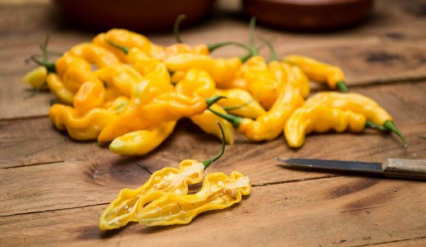 世界最辣的辣椒排名第一