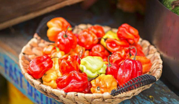 世界最辣的辣椒排名第一