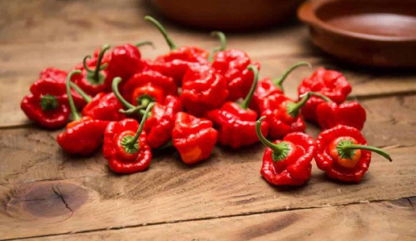 世界最辣的辣椒排名第一