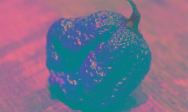 世界最辣的辣椒排名第一