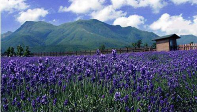 世界最美的地方排行榜 世界上公认最美旅游景点排名