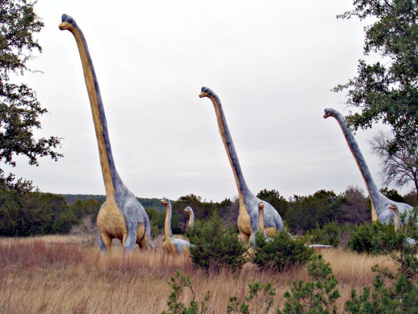 体型最大的恐龙是什么龙