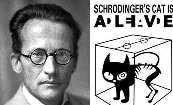 人的生命结束后就真的结束了吗