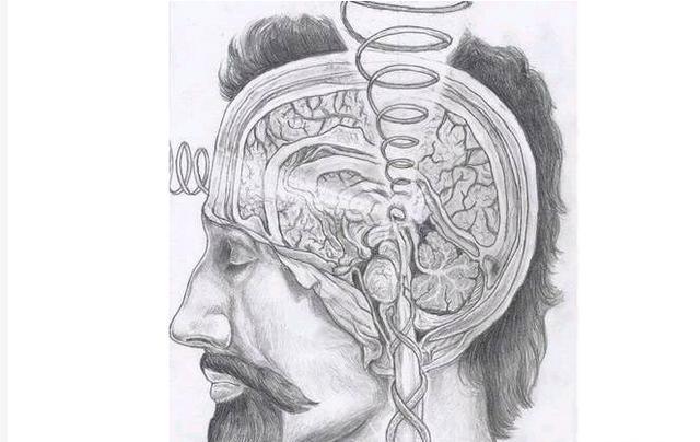 松果体是人类特有的吗