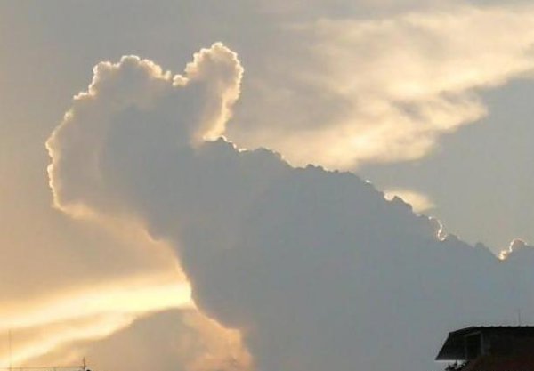 冥王星上发现了巨大的蜗牛状物体